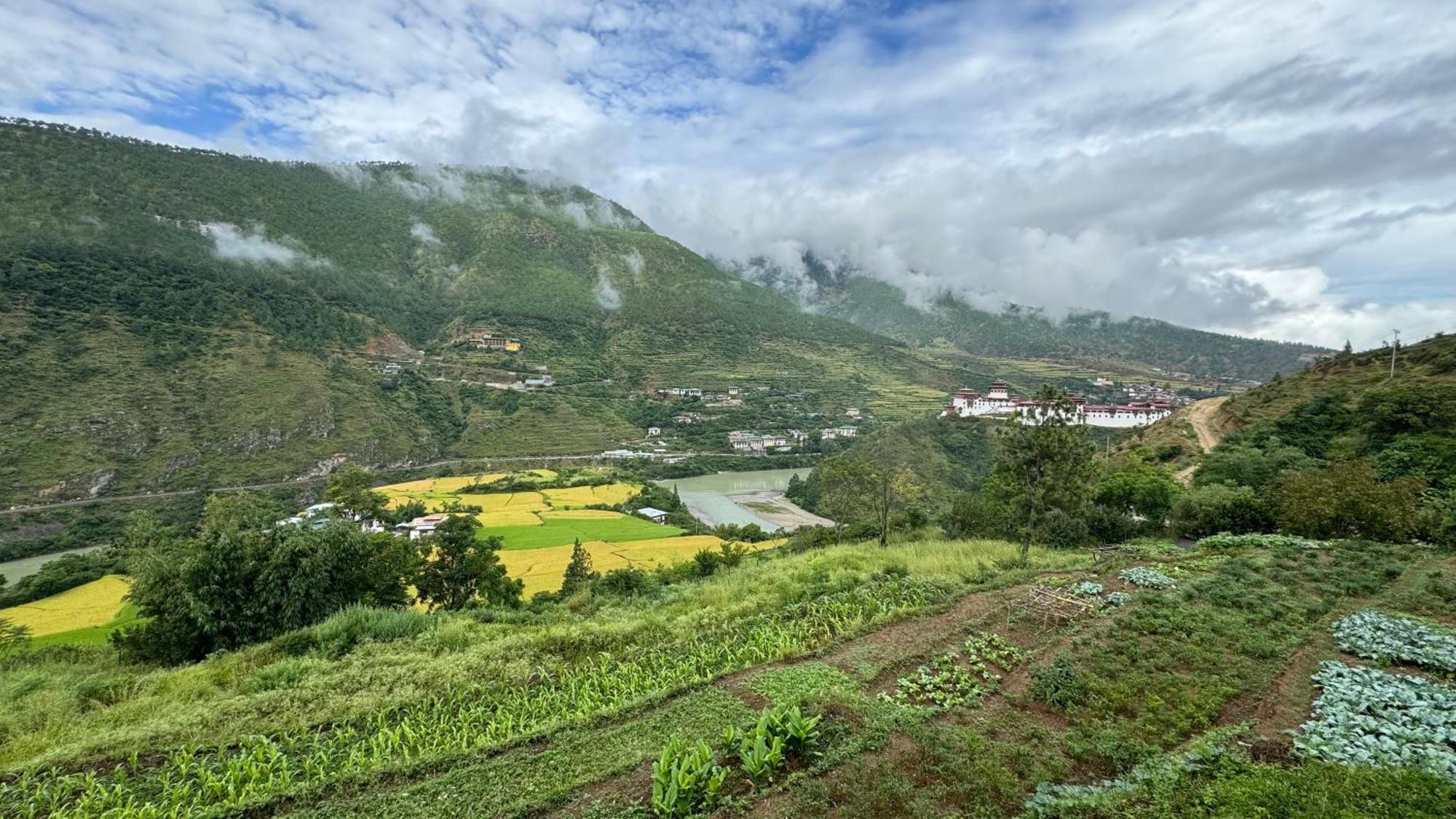 Wangdue Ecolodge Wangdue Phodrang Eksteriør billede