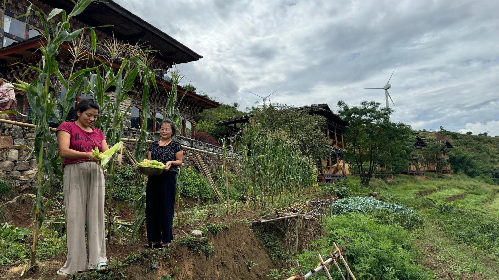 Wangdue Ecolodge Wangdue Phodrang Eksteriør billede