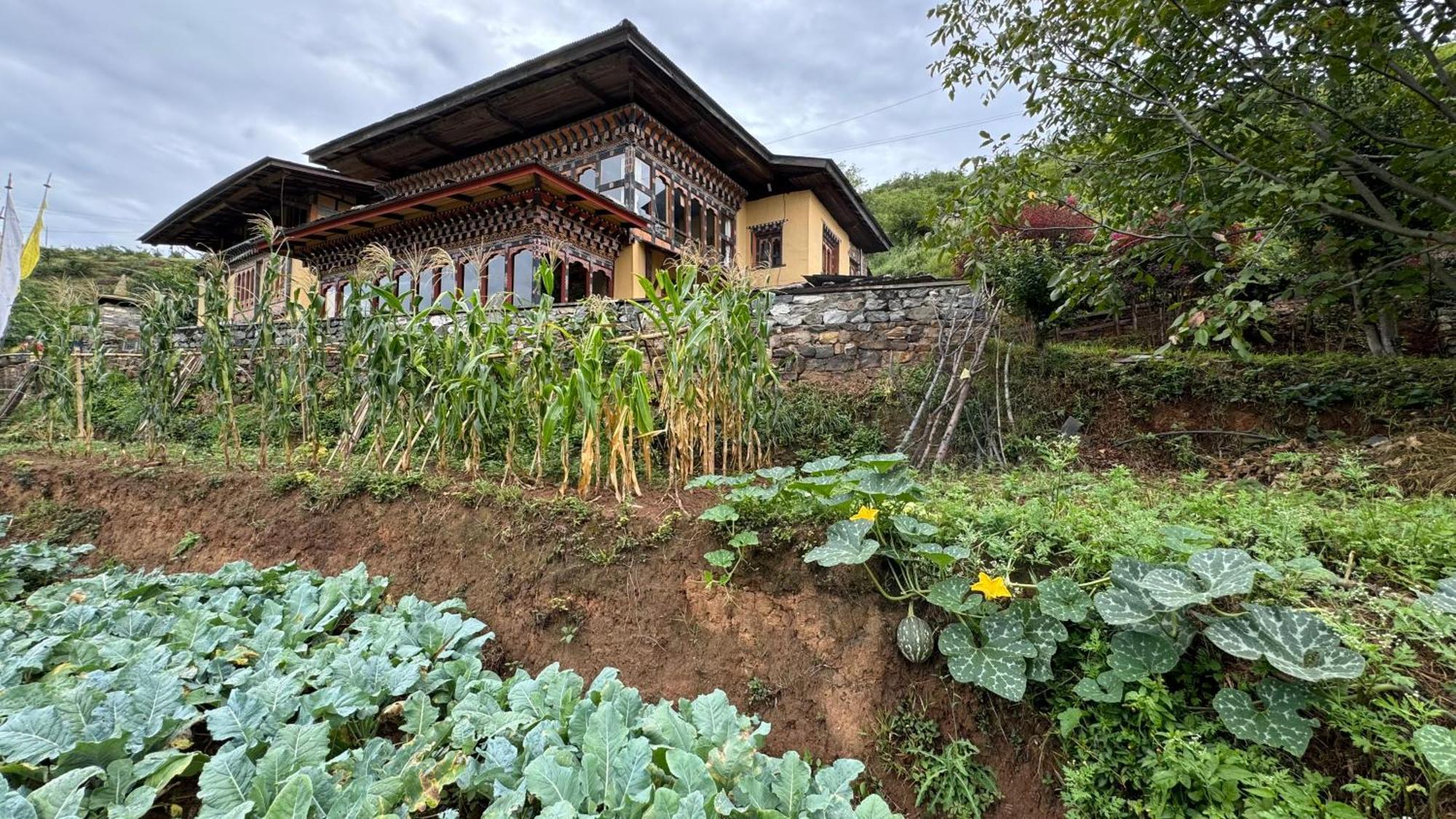 Wangdue Ecolodge Wangdue Phodrang Eksteriør billede