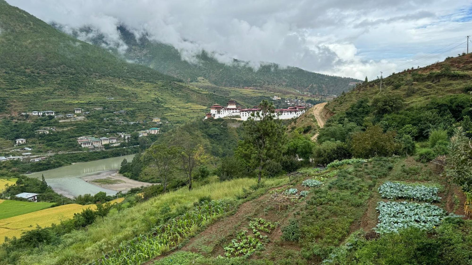 Wangdue Ecolodge Wangdue Phodrang Eksteriør billede