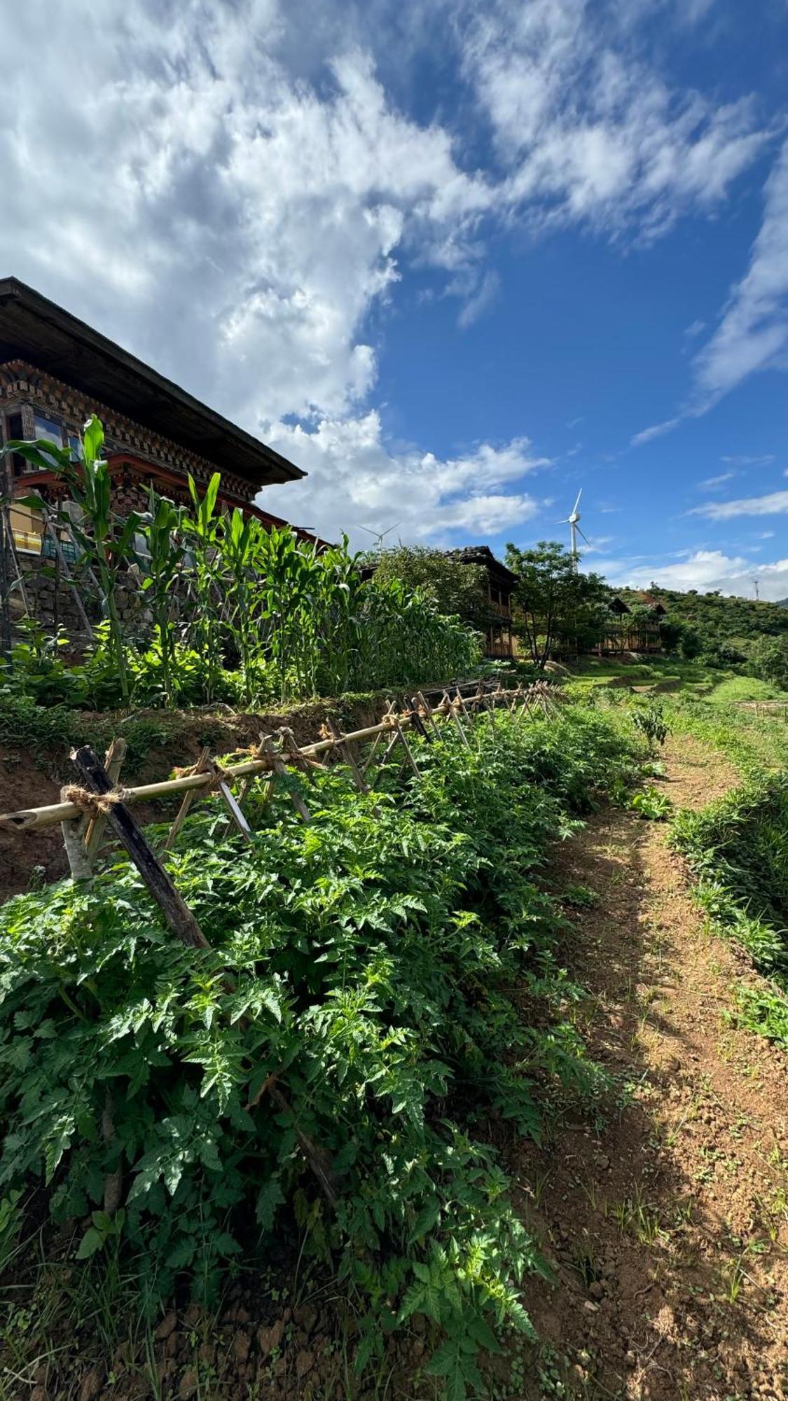 Wangdue Ecolodge Wangdue Phodrang Eksteriør billede