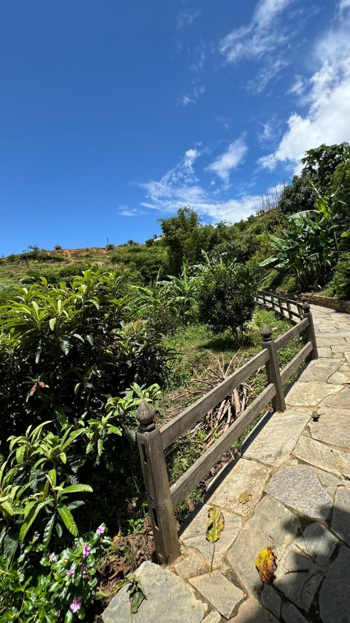 Wangdue Ecolodge Wangdue Phodrang Eksteriør billede